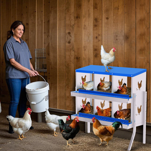 Heavy Duty Chicken Nesting Box with Ventilation - 6 Compartments, Ergonomic Laying Box for Hens, Ducks, Small Poultry, Durable Orange Coop Accessory
