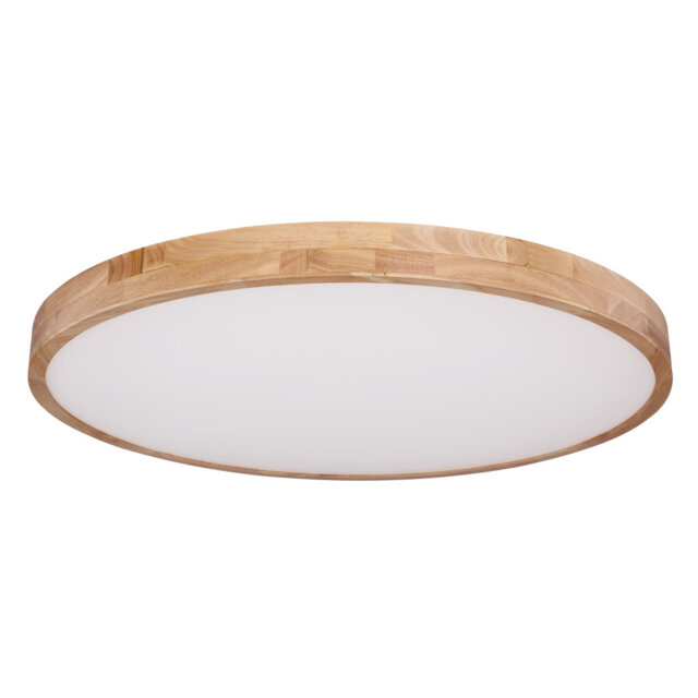 Hamlin Plastic LED Semi Flush Mount