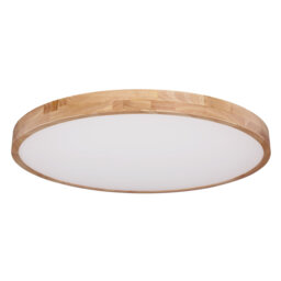 Hamlin Plastic LED Semi Flush Mount
