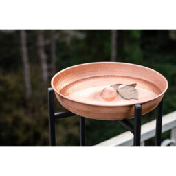 Copper Birdbath