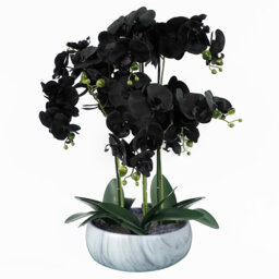 Orchids Plastic, Silk Artificial Arrangement in Planter
