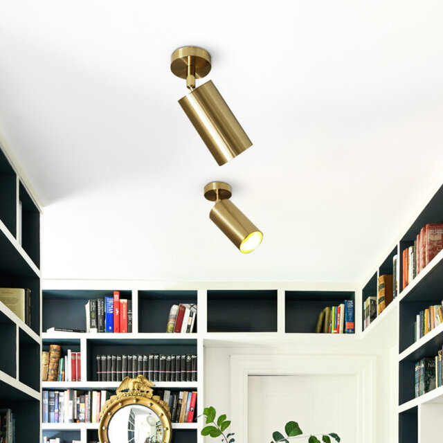 Antine Modern LED Track Lighting Adjustable Downlight Track Head