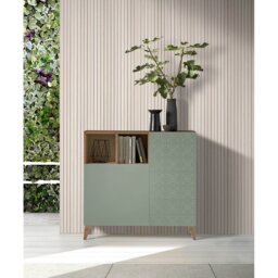 12 Pair Shoe Storage Cabinet