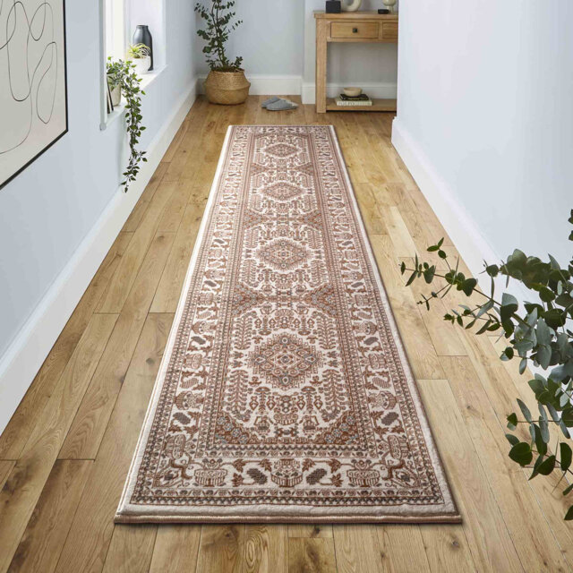 Oriental Indoor / Outdoor Area Rug