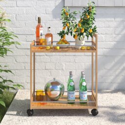 Aalyiah Serving Cart