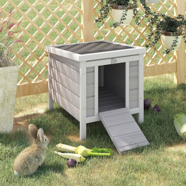 Rabbit Hutch