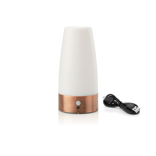 Aidrianna Night Light