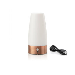 Aidrianna Night Light