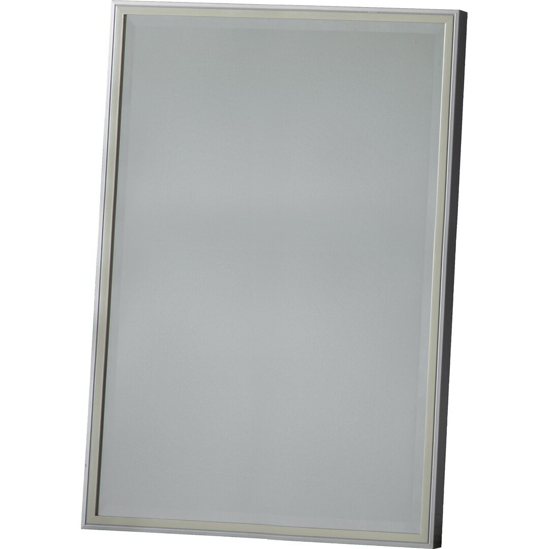 Plastic Framed Wall Mounted Accent Mirror in Pewter/Champagne Gold