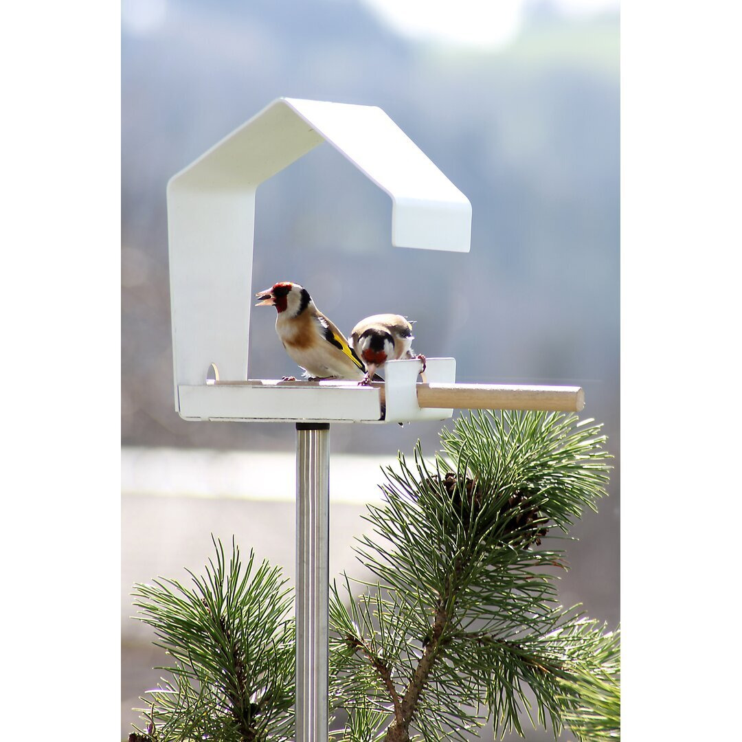 Futterstation Decorative Bird Feeder