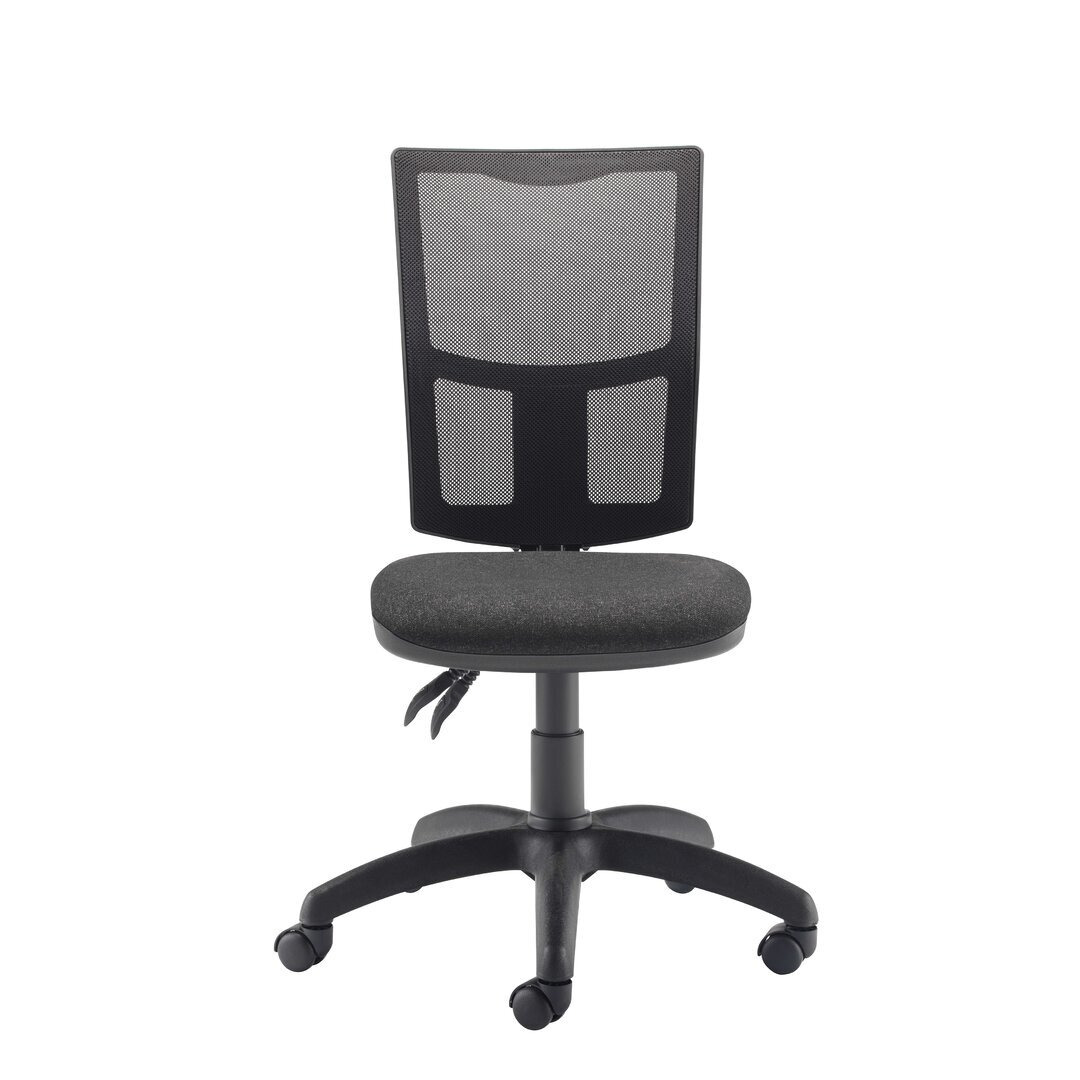 Hathaway Ergonomic Mesh Office Chair
