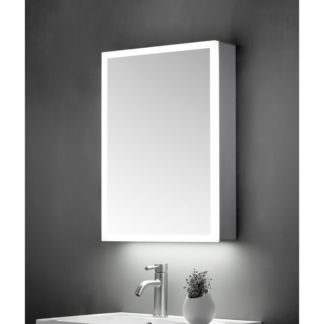 Critchlow 50cm x 70cm Wall Mounted Mirror Cabinet with LED Lighting