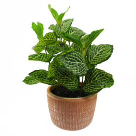15Cm Artificial Foliage Plant in Pot