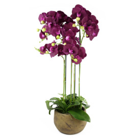 Real Touch Artificial Orchids Floral Arrangement in Pot