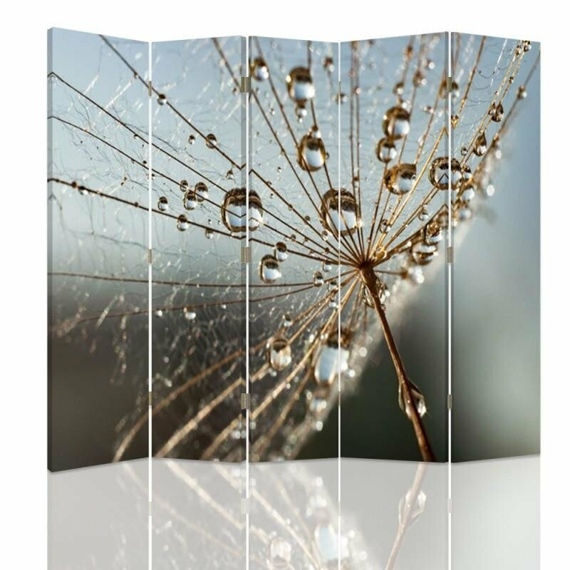 Dew Drops on Plant Canvas 5 Panel Room Divider