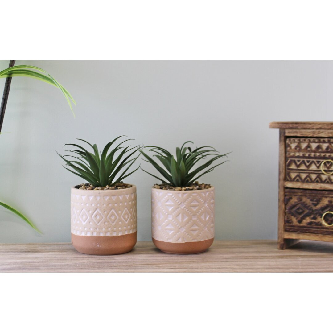2 Artificial Succulent Plant in Pot Set