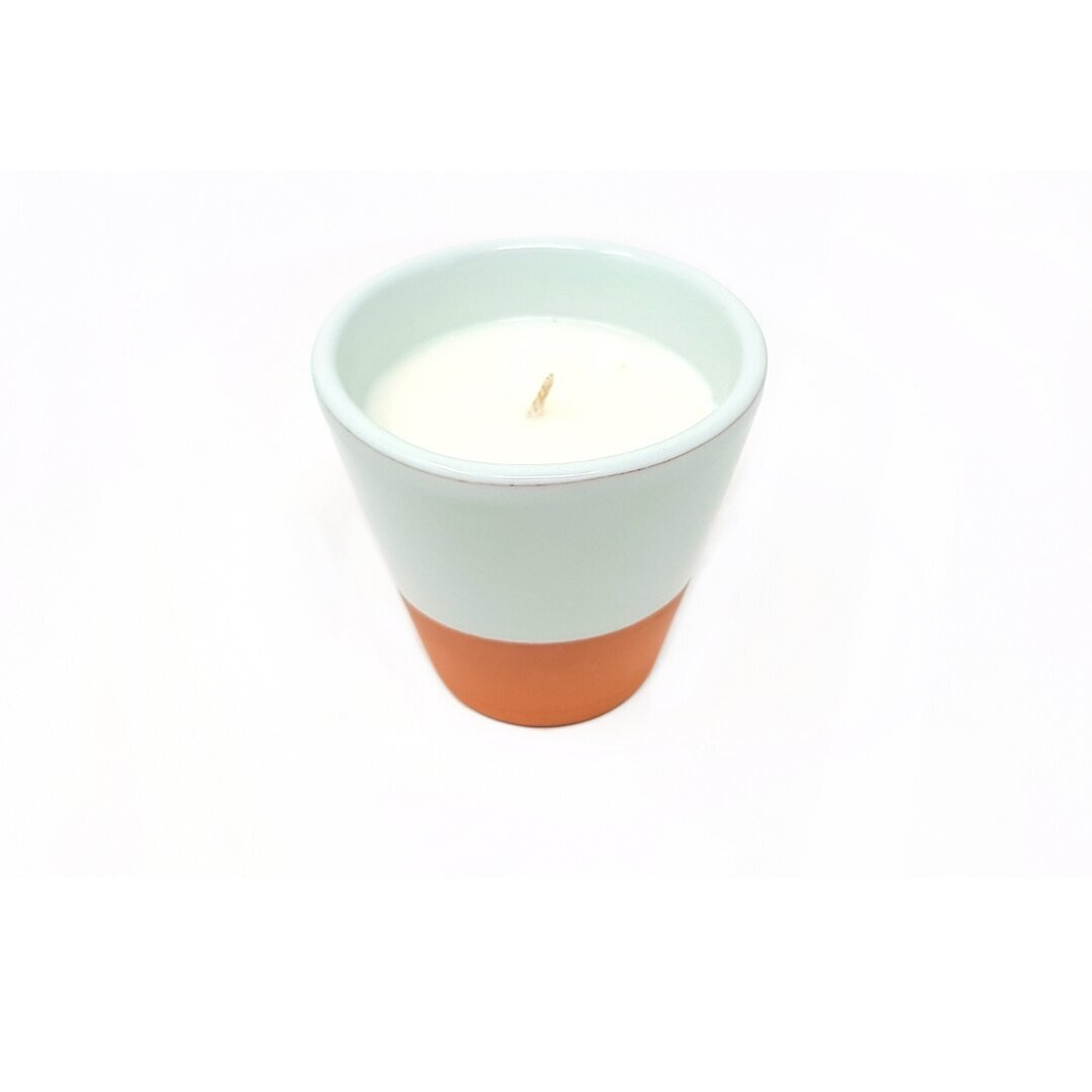Citrus Grove Scented Jar Candle