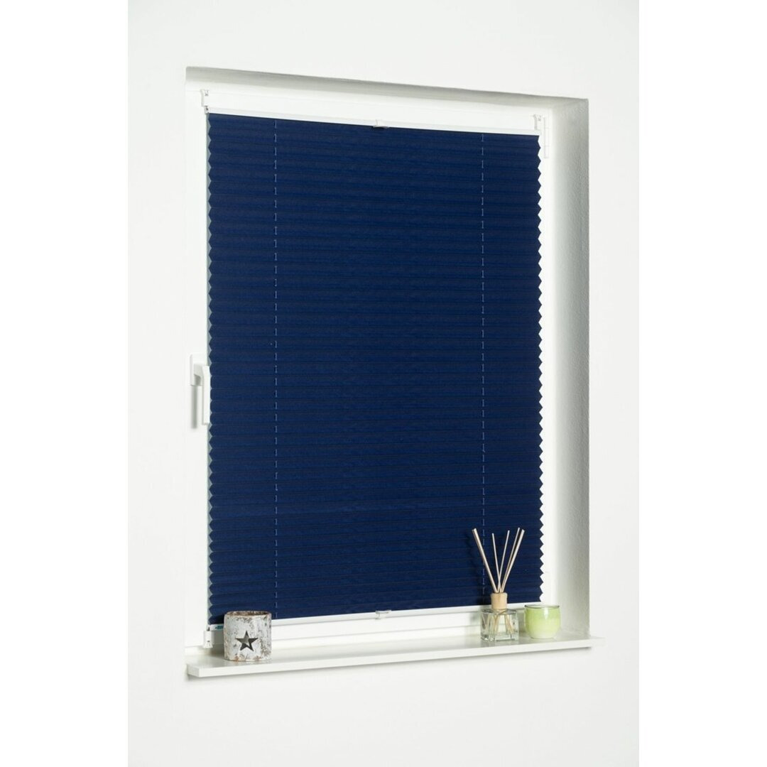 Blackout Pleated Blind