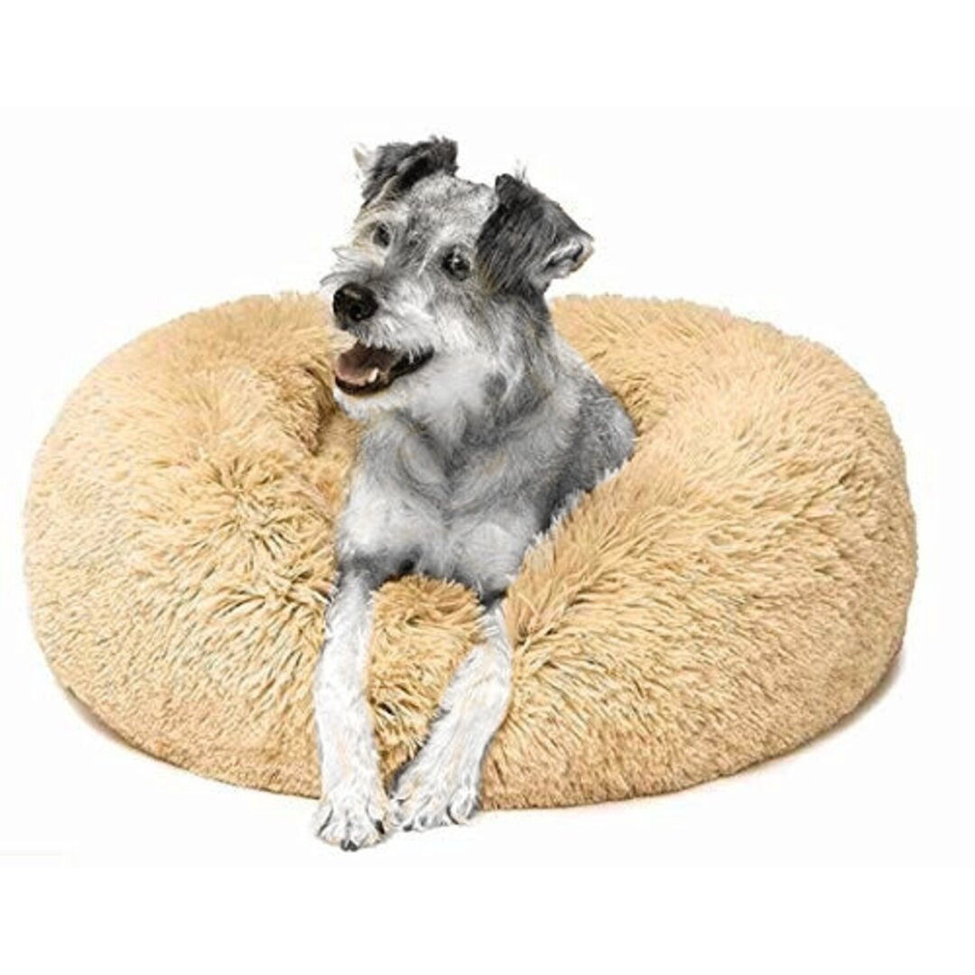 Jaiden Bolster Cushion Dog Bed