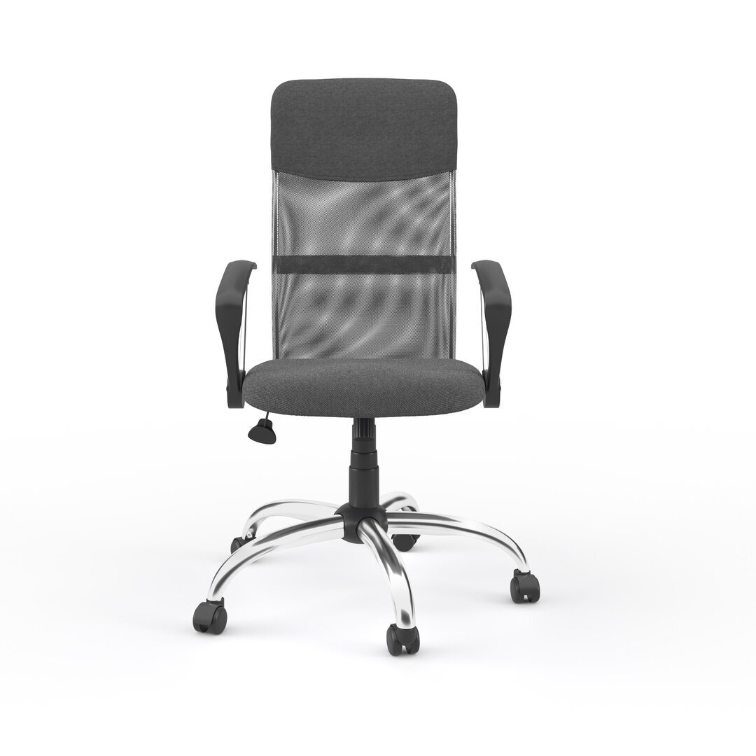 Abba Ergonomic Mesh Desk Chair