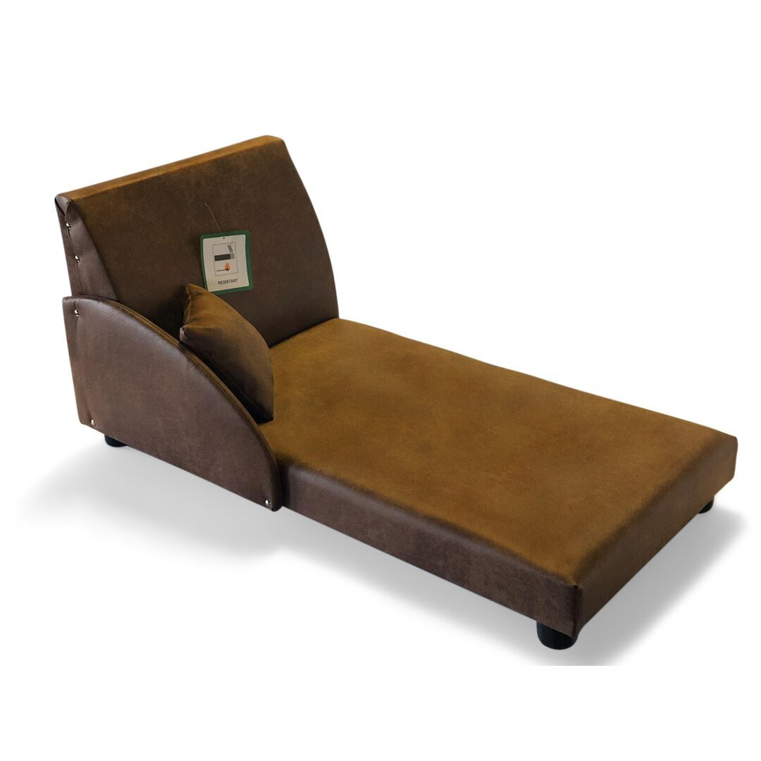 Costa Dog Sofa in Brown