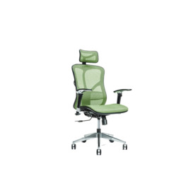 Havell Ergonomic Mesh Desk Chair