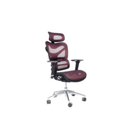 Havell Ergonomic Mesh Desk Chair