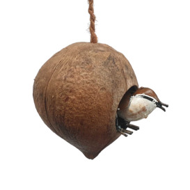 Garcelle Hanging Bird House