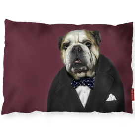 Leader - Pets Rock - Luxury Dog Bed