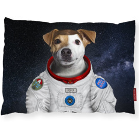 Rover - Pets Rock - Luxury Dog Bed