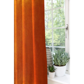 Symple Stuff Matt Velvet Curtains 2 Panels - Champagne Gold Luxury Soft Made To Order Curtains & Drapes - Cotton Pencil Pleat Fully Lined Width 167Cm