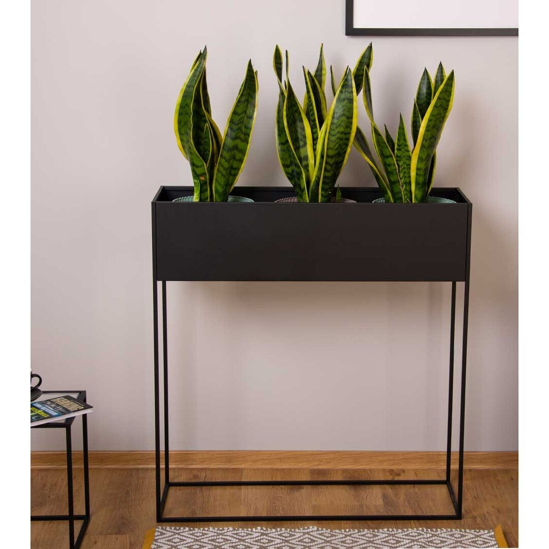 Crisha Rectangular Pedestal Plant Stand