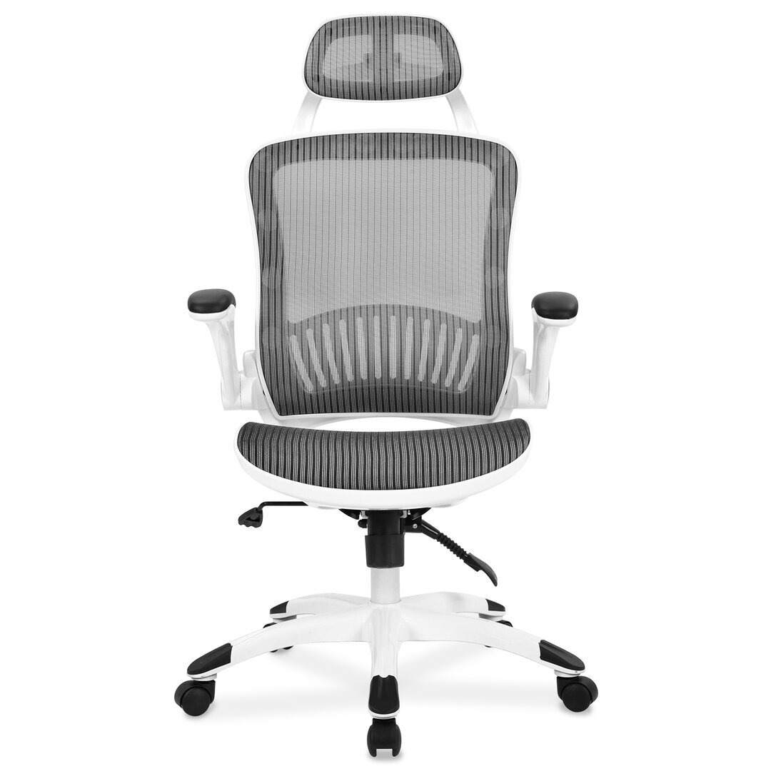 Ergonomic Mesh Desk Chair