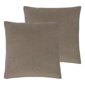 Strader Feathers Scatter Cushion with Filling