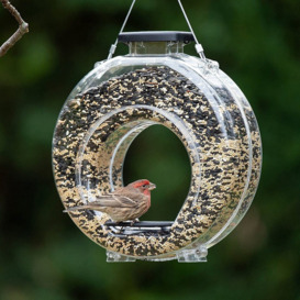 Transparent Design Clear Donut Hanging Wild Bird Garden Feeder - High Capacity With Drainage And Easy Refills - Curved Feeder With Two Perches For Eas