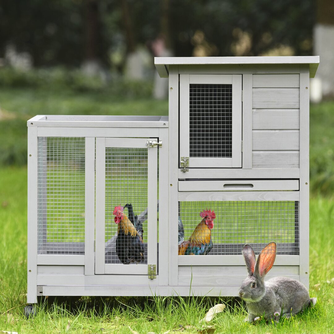 Oaklee Weather Resistant Rabbit Hutch with Ramp by Wayfair