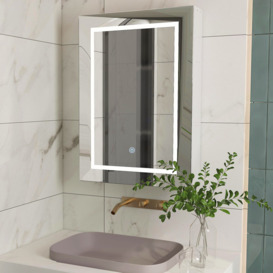 Aydelotte Surface Mount Frameless Mirror Cabinet with LED Lighting & 3 Shelves for Bathroom