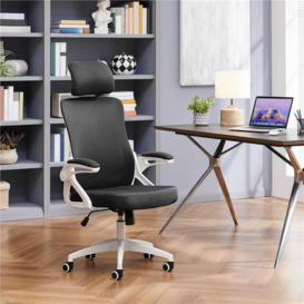 Alcina Ergonomic Mesh Desk Chair