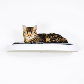 Lancaster Oval Cat Bed