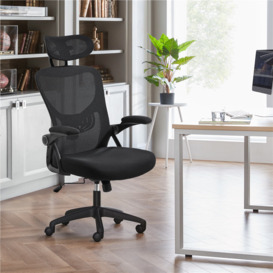Chinle Ergonomic Mesh Desk Chair