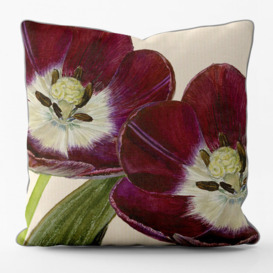Kiheem Cotton Floral Burgundy/Green Square Euro Cushion with Filling