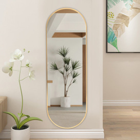 Olinda Oval Metal Framed Wall Mounted Full Length Mirror