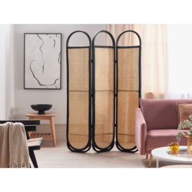 Akhilles 118cm W x 180cm H 3 - Panel Bamboo/Rattan Folding Room Divider