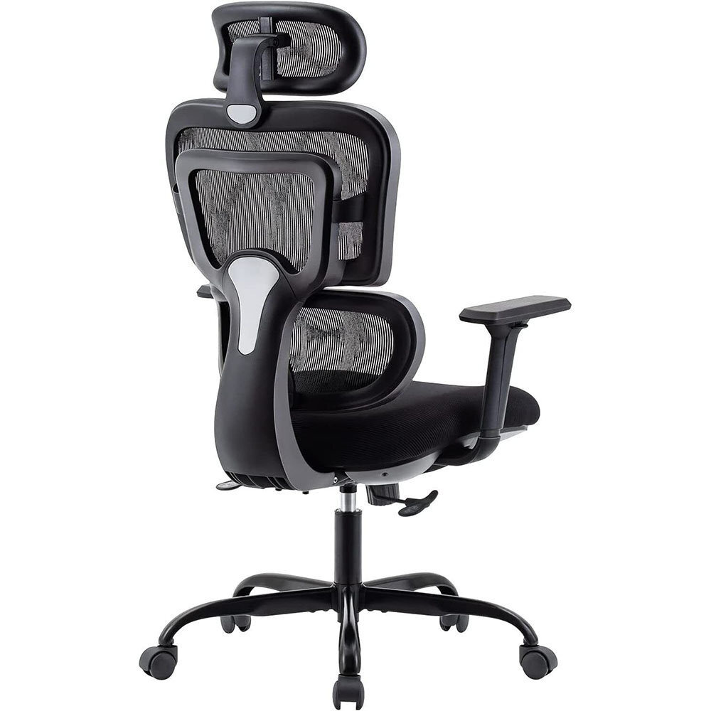 Jenessa Ergonomic Desk Chair by Wayfair