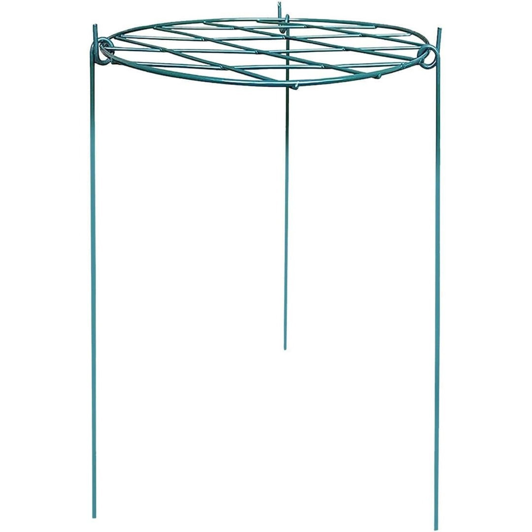 Bartosz Plant Stand Ring Support Iron Round Plant Support With Grid for Outdoor Plants (50CM)
