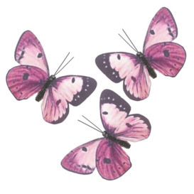 Craiginorne Butterfly Clips Figurine
