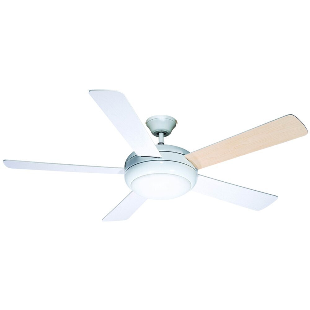 132cm Randy 3 Blade Ceiling Fan with Remote