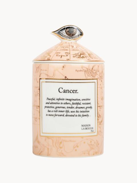 Handmade Scented Candle Cancer (Bergamot & Vetiver) - image 1