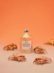 Handmade Scented Candle Cancer (Bergamot & Vetiver) - thumbnail 5