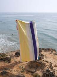 Reversible Cotton Beach Towel Combed - thumbnail 8